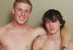 gays